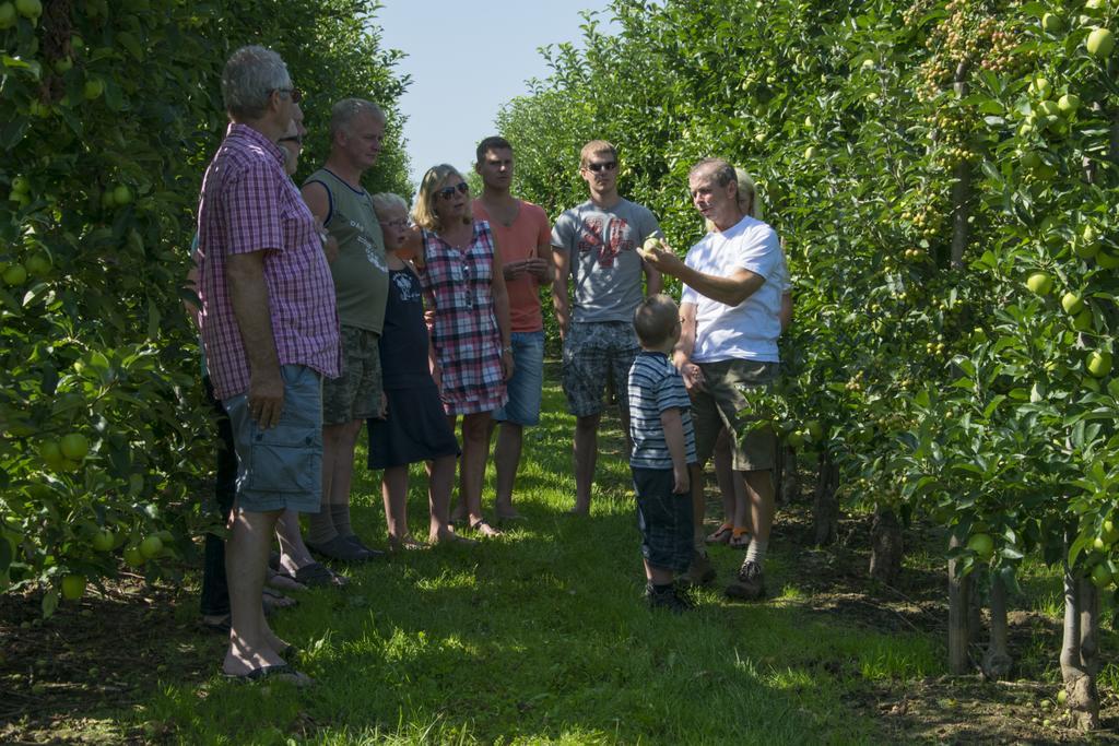 Vakantie Oord Zonnehoeve Valkenburg aan de Geul Eksteriør bilde